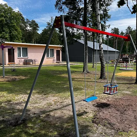 Deer Camp * Swierklaniec