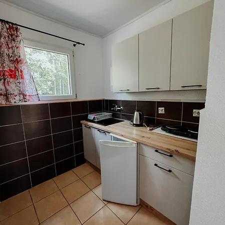 Dağ evi Deer Camp Swierklaniec
